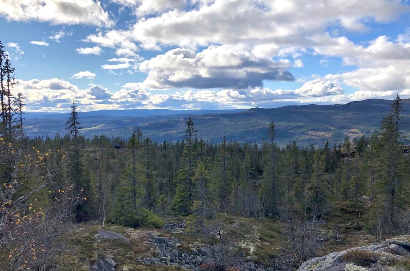 Utsikt fra hyttetomtene Galleribilde