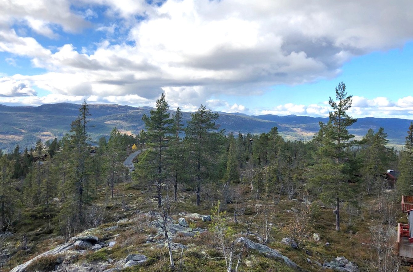 Utsikt fra hyttetomtene Galleribilde