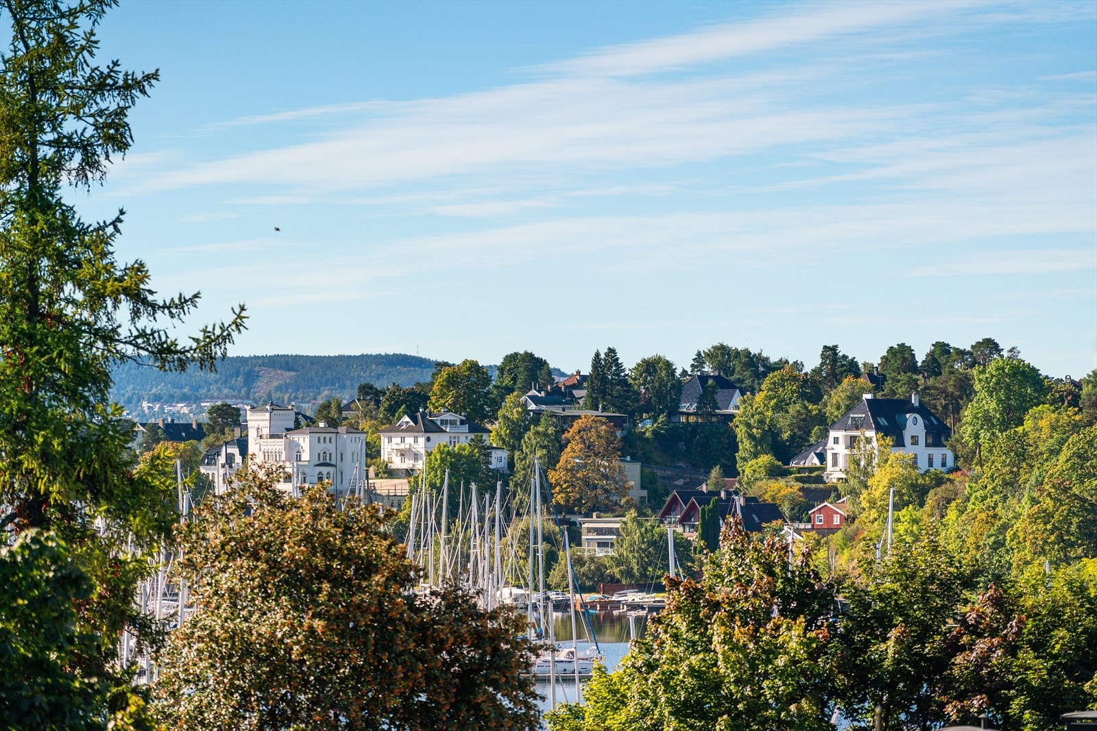 Flott utsikt mot Frognerkilen og Bygdøy. Galleribilde