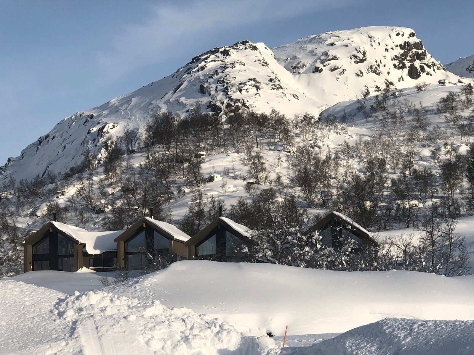 Bilde av oppførte like hytter Galleribilde