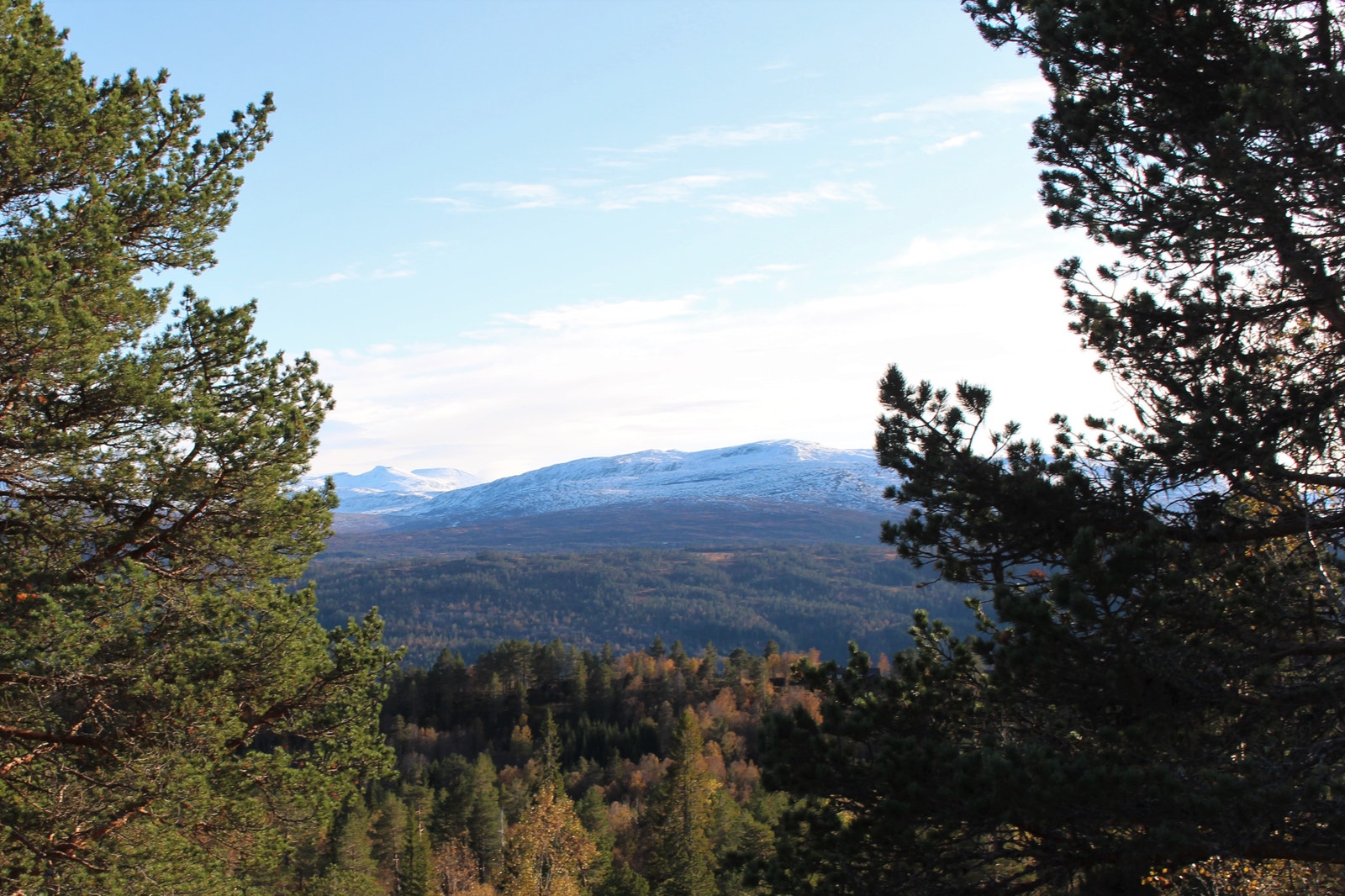 Bilde fra tomt 2-28 Galleribilde