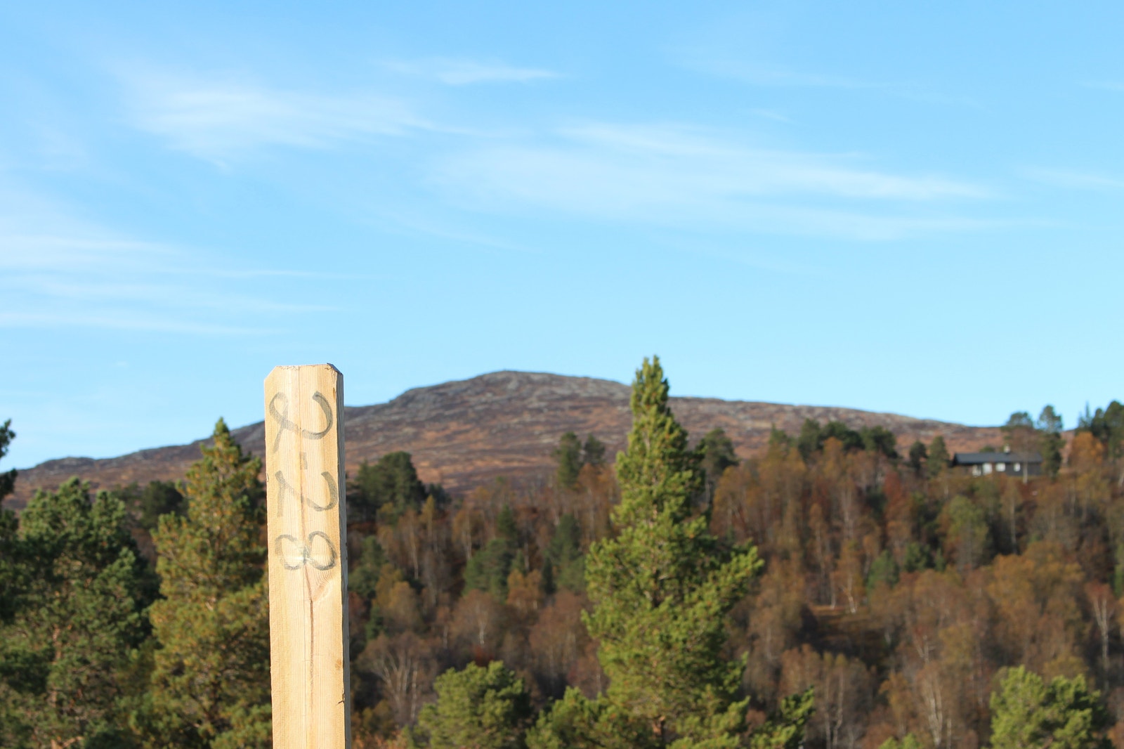 Utsikt oppover mot Skåkleiva i nord Galleribilde