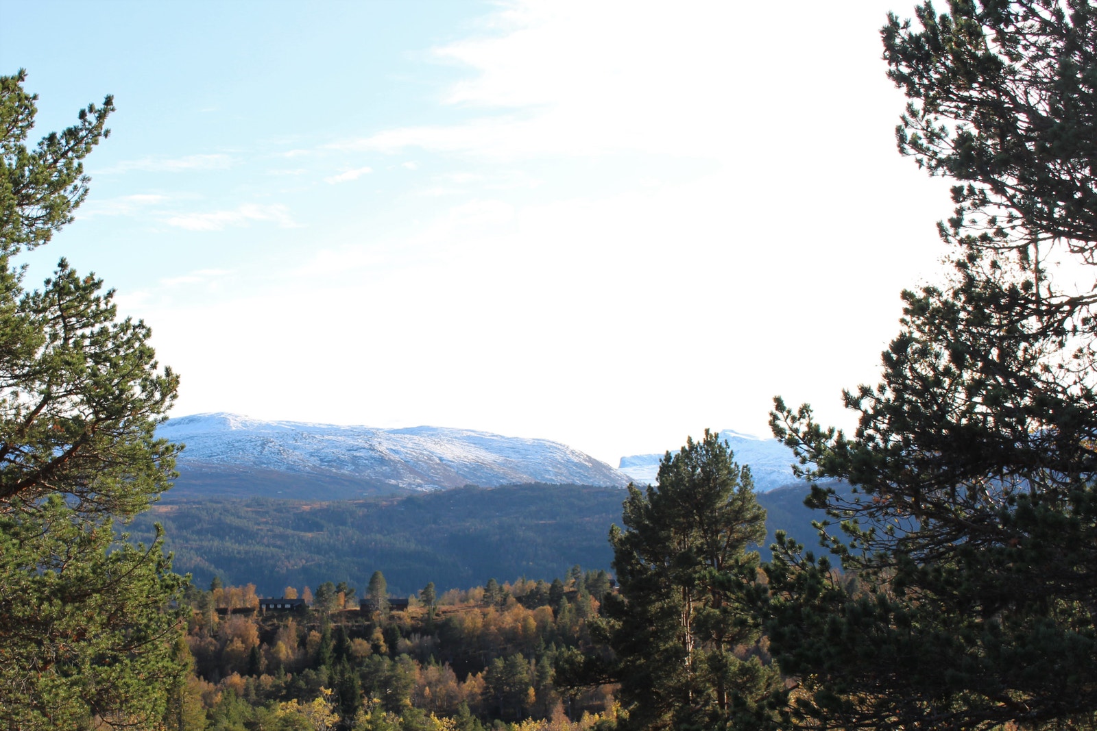 Utsikt mot Trollheimen i sør fra tomta Galleribilde