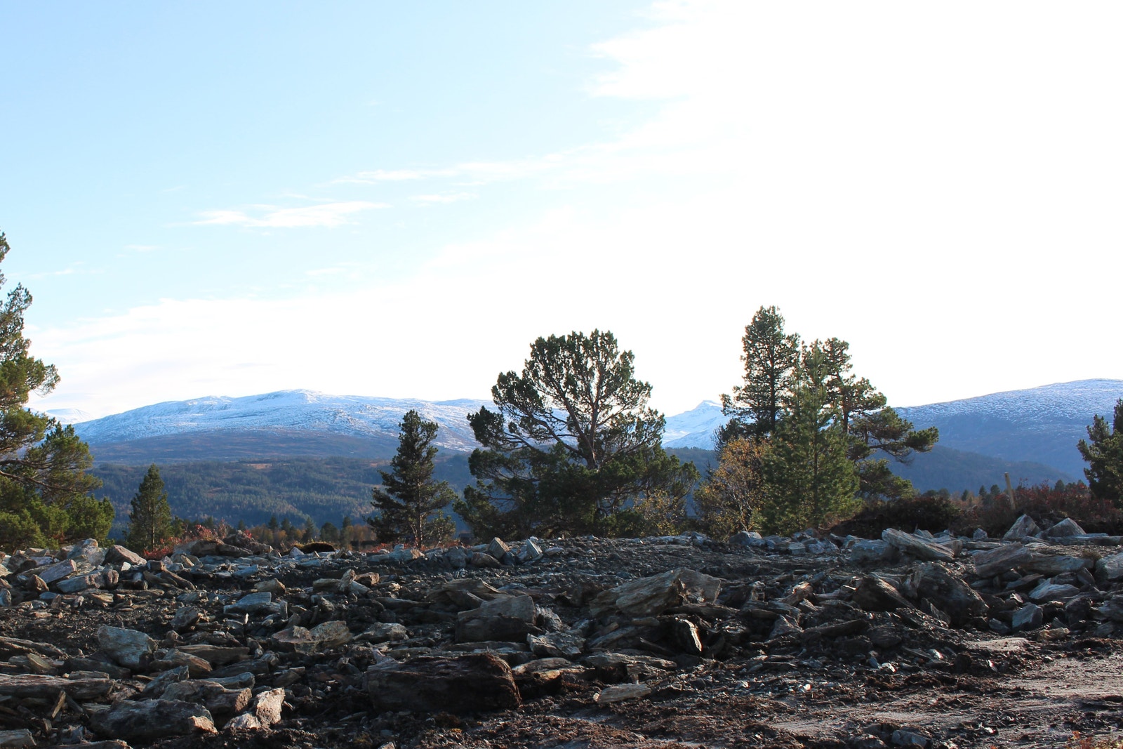 Tomten er grovplanert Galleribilde