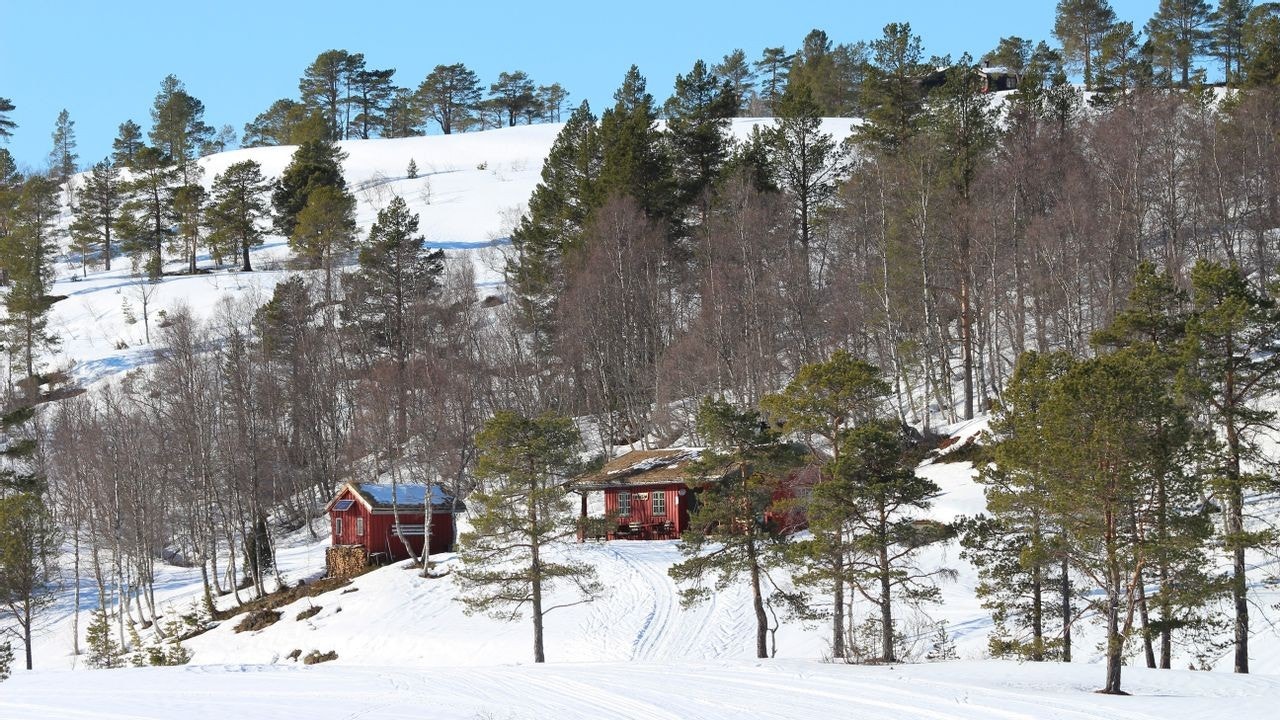 Tørsåsløa ligger i nærområdet. Et flott utgangspunkt for turer både sommer og vinter. Galleribilde