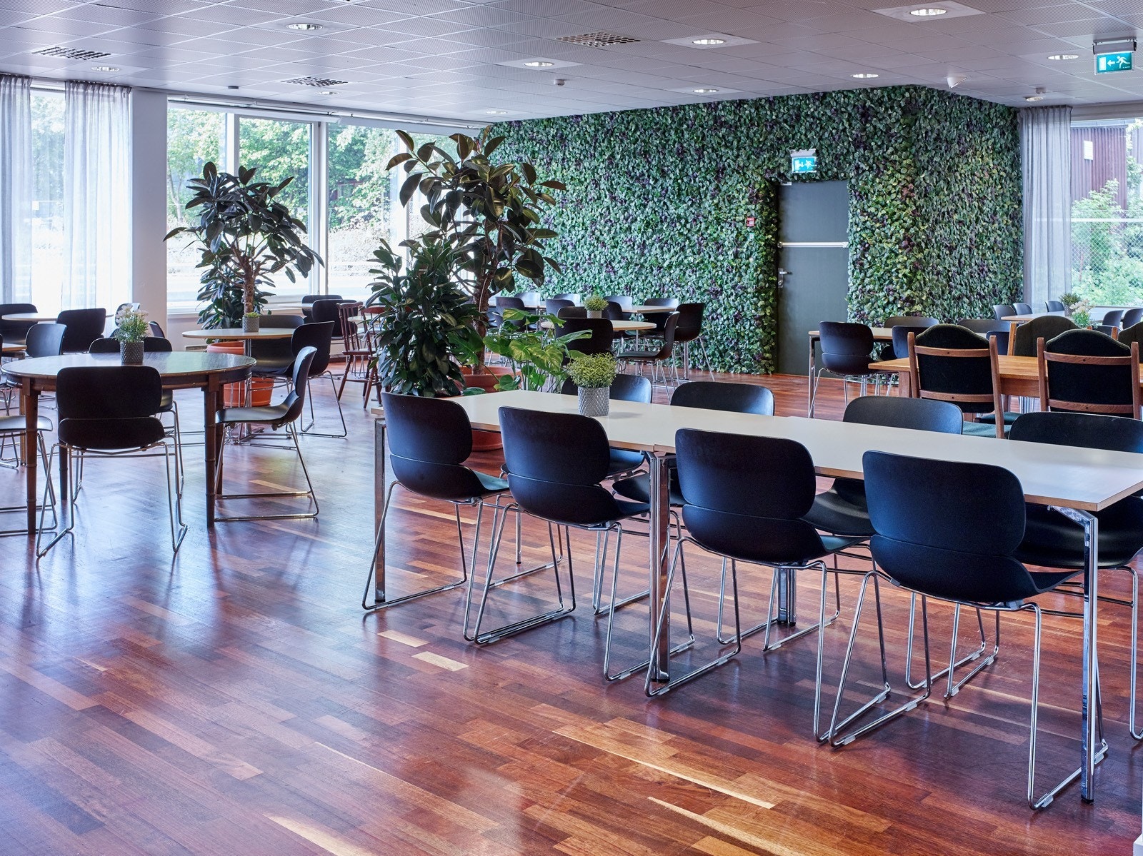 MATTORGET Galleribilde