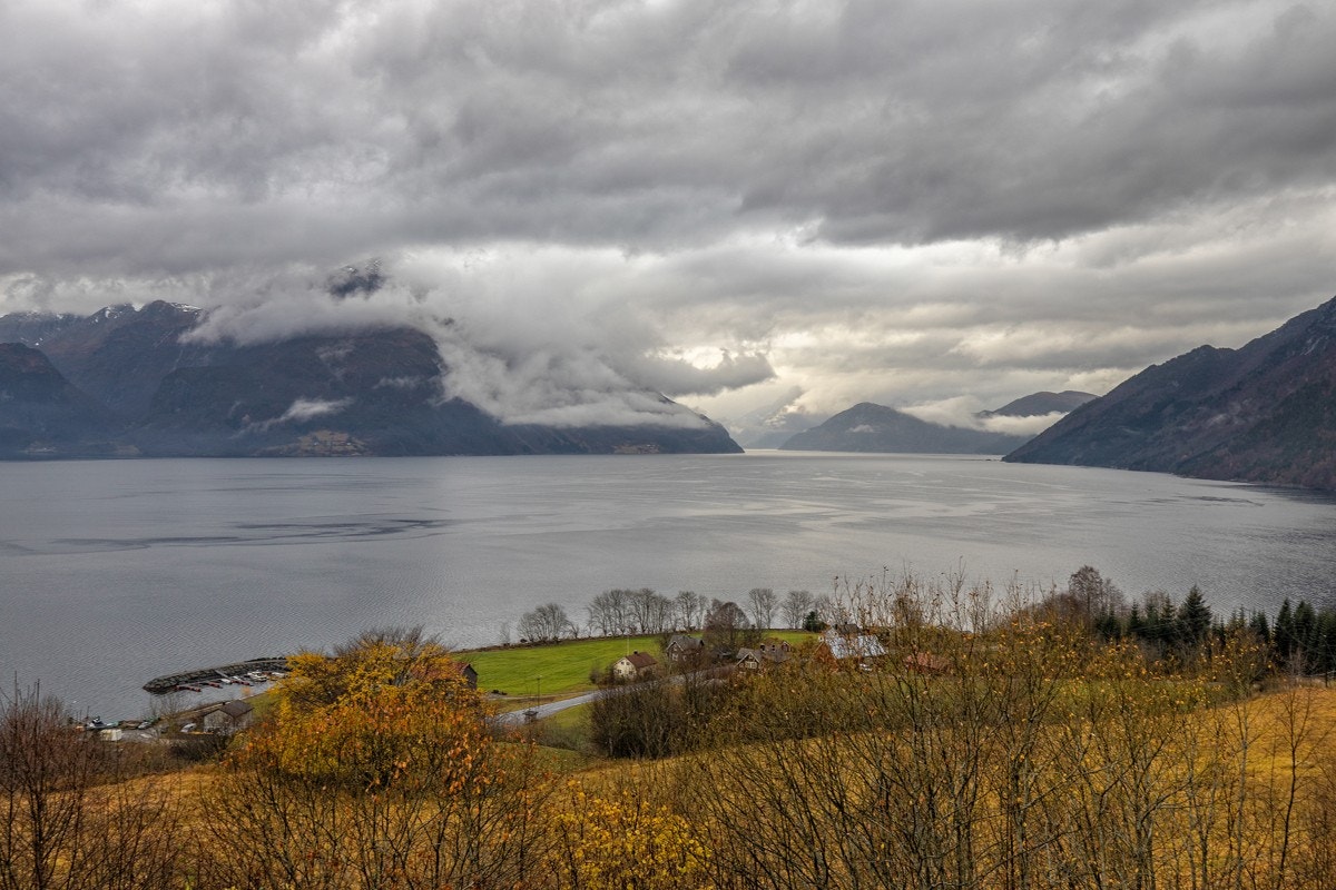 IMG_031121 Galleribilde