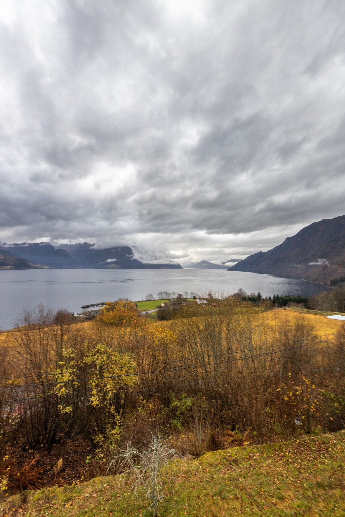 IMG_031128 Galleribilde