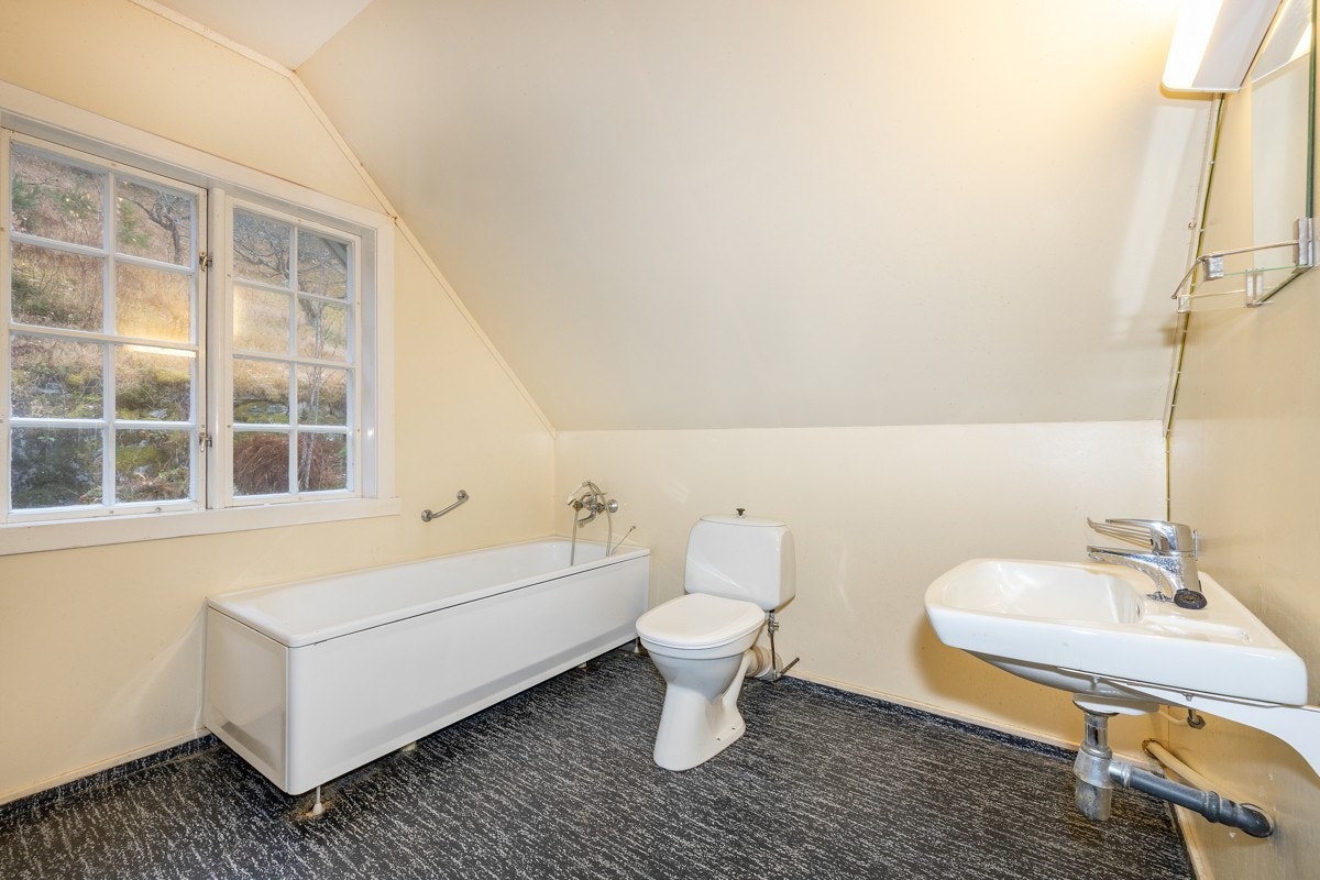 IMG_031099 Galleribilde