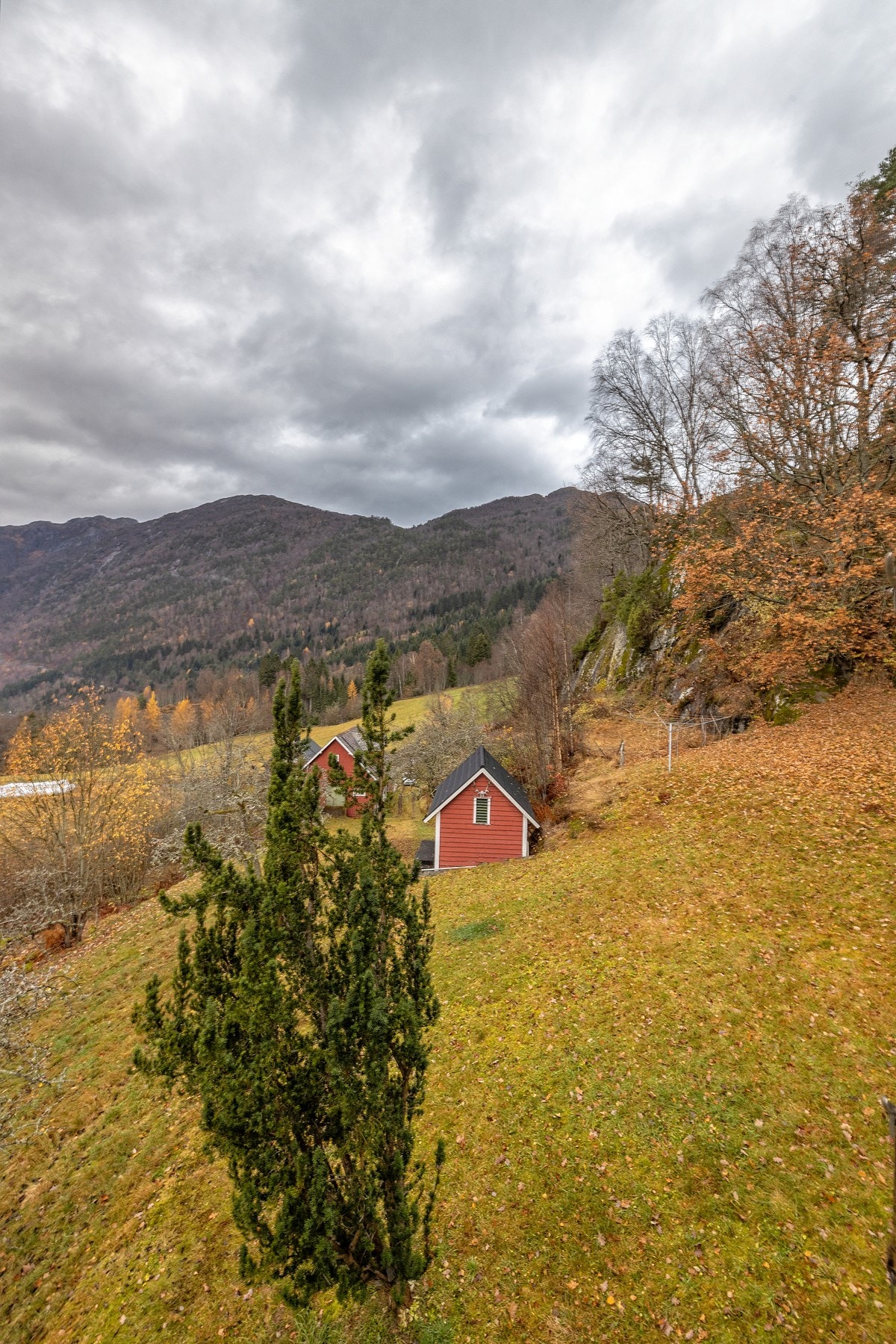 IMG_031109 Galleribilde