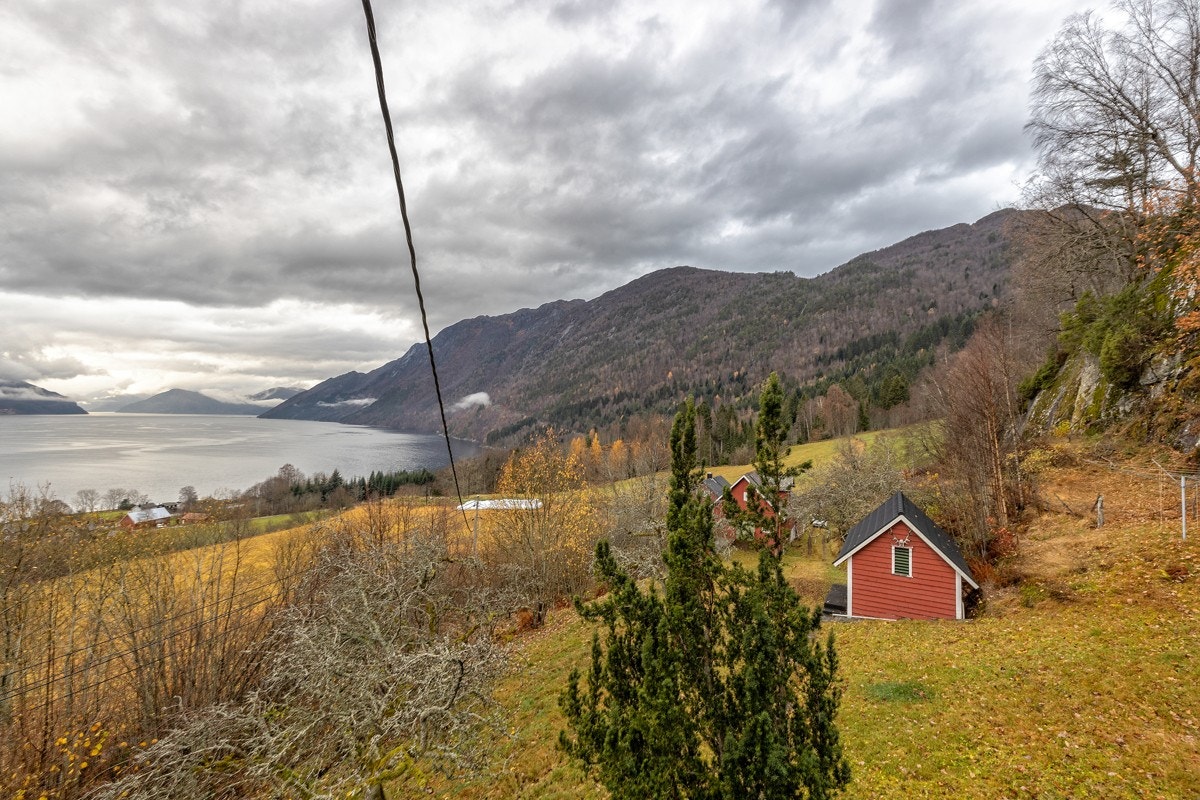 IMG_031112 Galleribilde