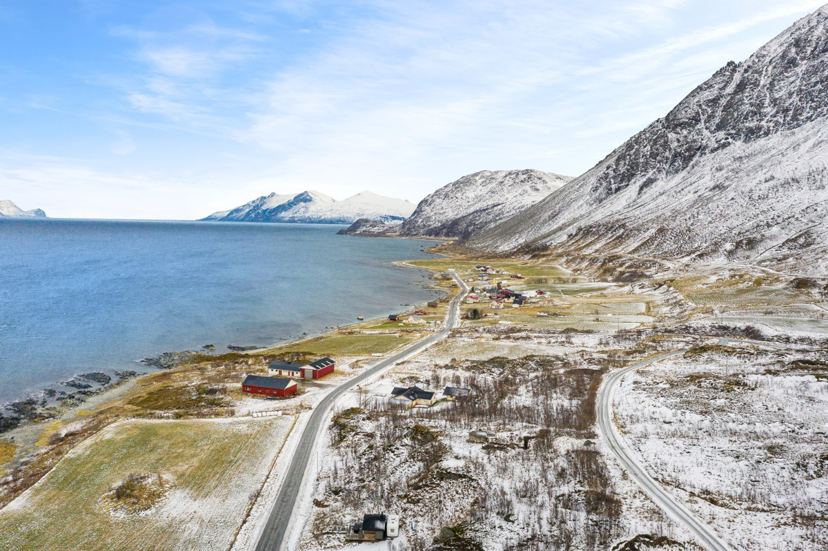 Området