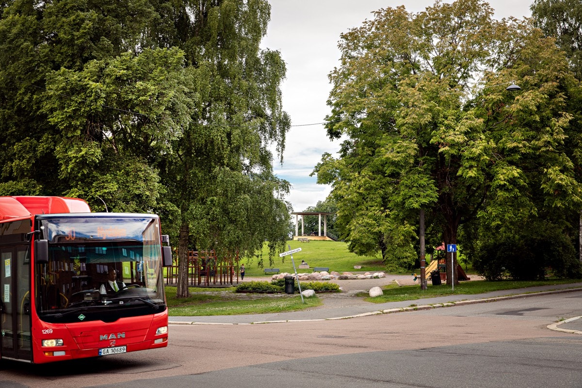 Agathe Grøndahls gate og Torshovparken om sommeren Galleribilde