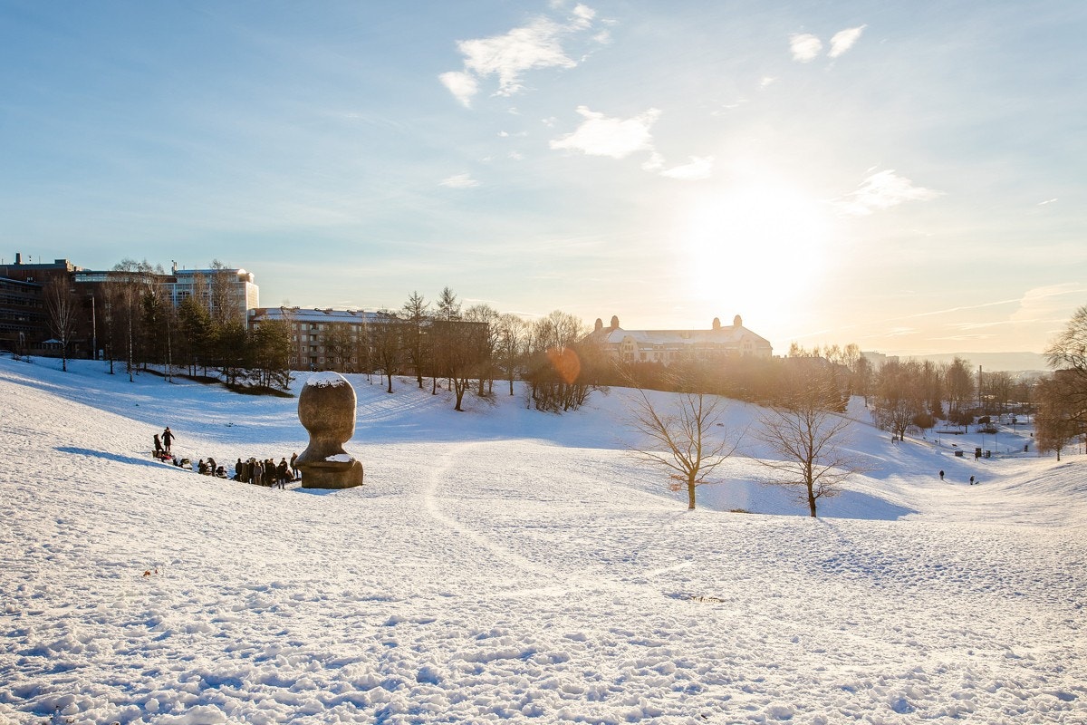 Gangavstand til flotte grøntområder i Torshovdalen med bl.a. skatepark Galleribilde