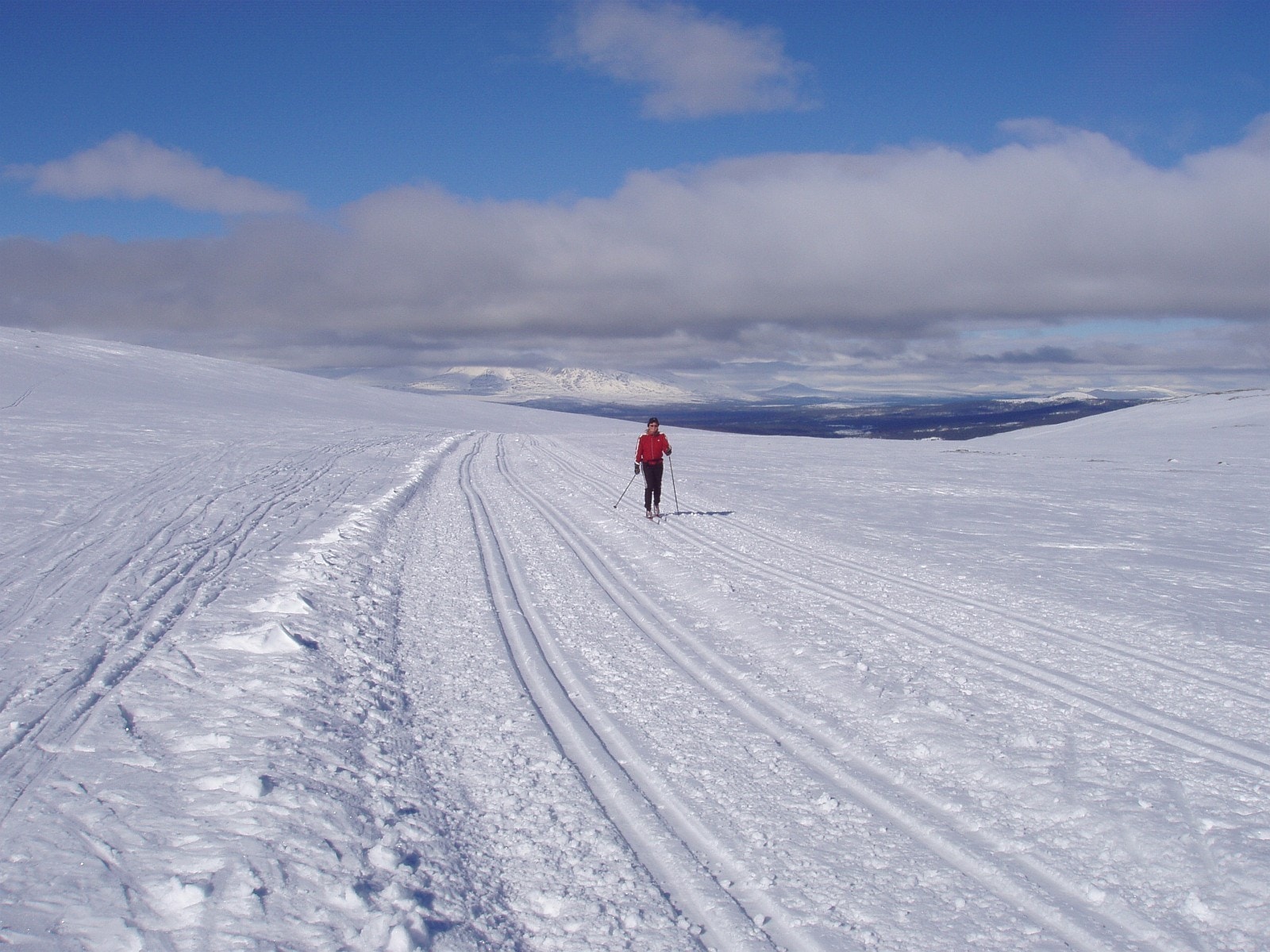 Løyper i skog og på fjell. Galleribilde