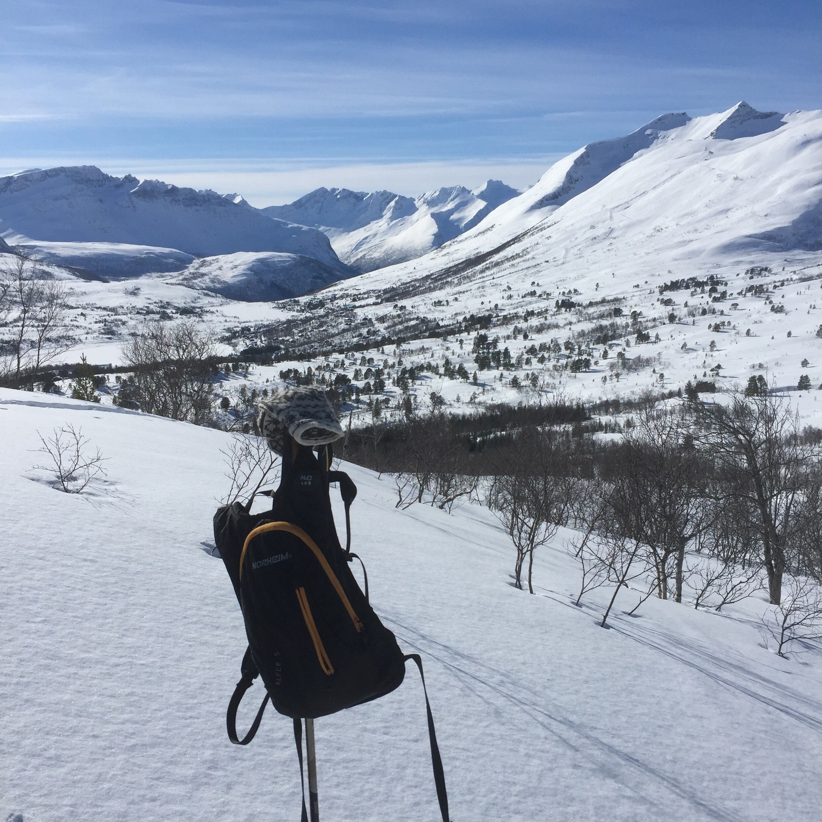 Førsteklasses skiterreng i Ladalen fotografert i sørvestlig retning mot Kongshaugen og Sunnmørsalpane Skiarena. Fra oppstigningen til Ausekaret 1200 (moh). Galleribilde