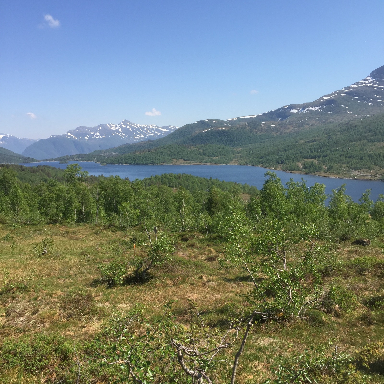 Hyttetomt på Kongshaugen, utsikten over Nysetervatnet følger med. Galleribilde
