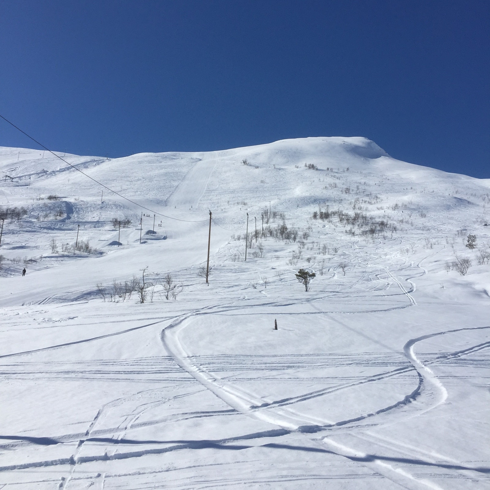 Samme motiv i vinterdrakt. De fleste tomtene på Kongshaugen ski-in/ski-out. Galleribilde