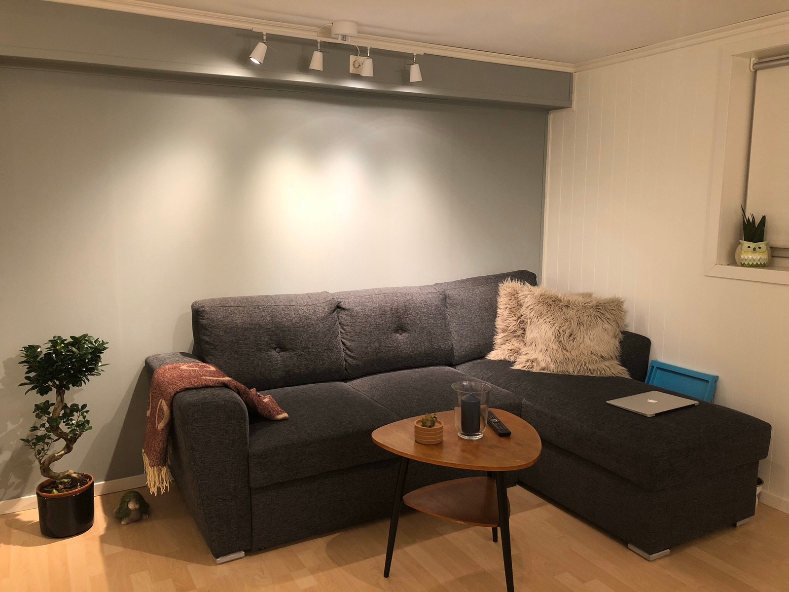 Stue med sovesofa Galleribilde