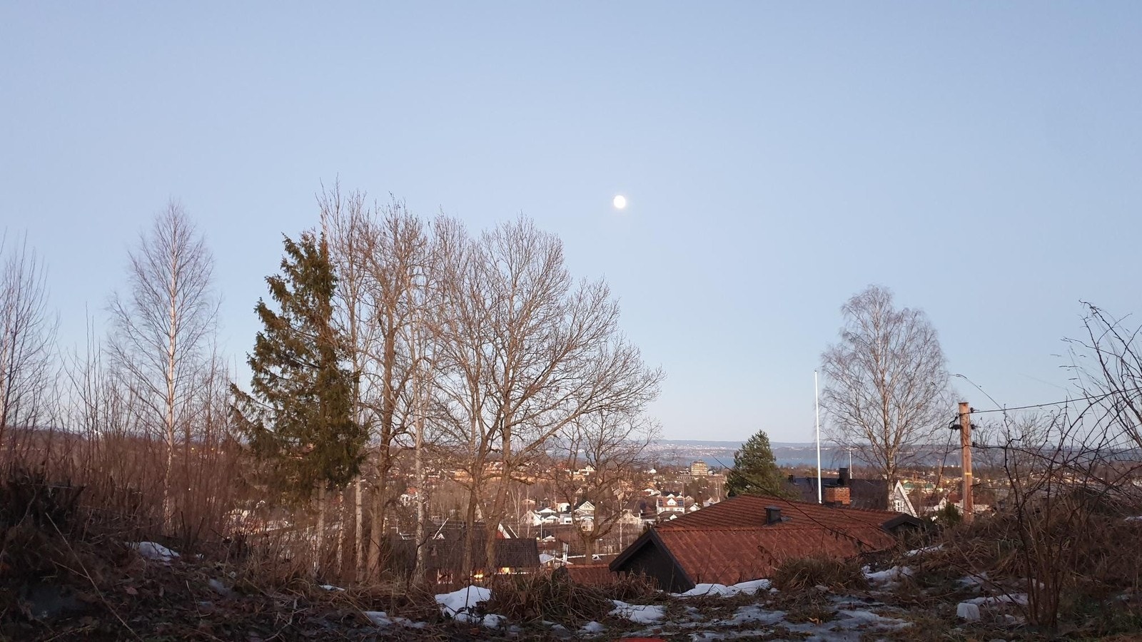 Lyst og fint med morgensol. Sjøutsikt Galleribilde