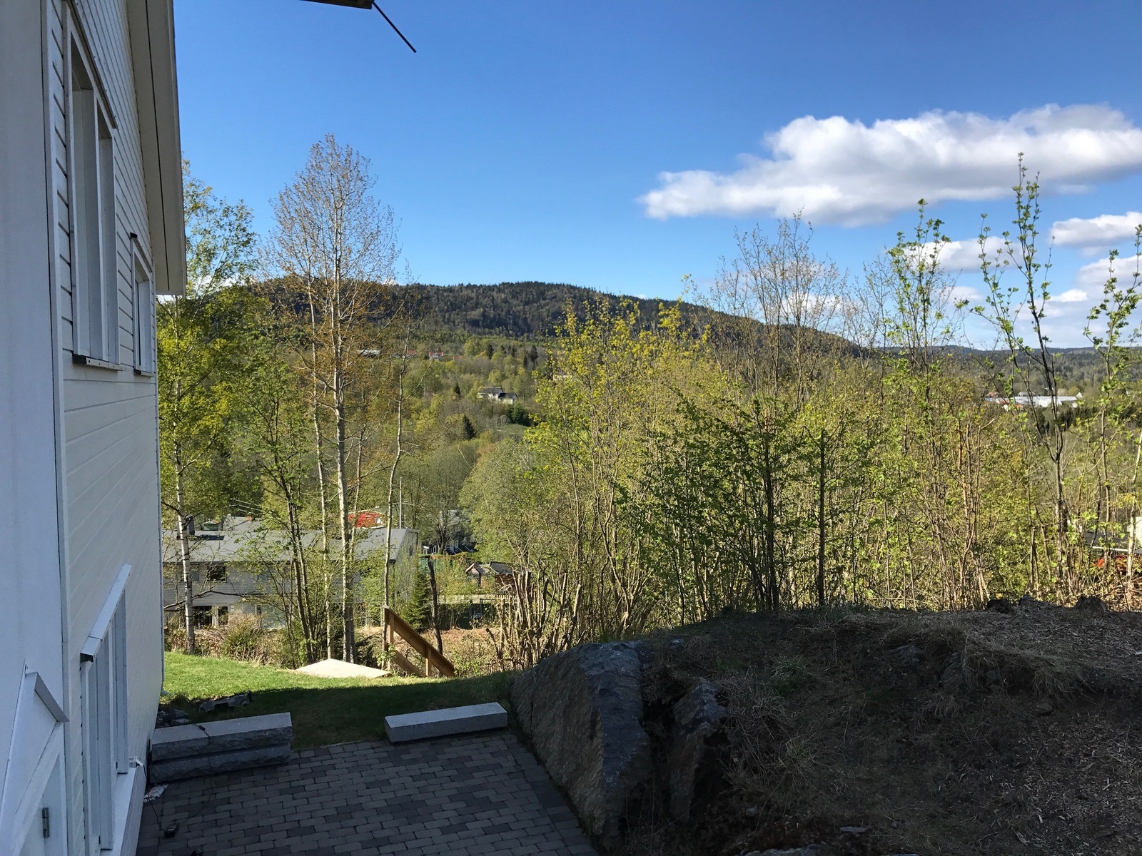 Utsikt mot Hagahogget Galleribilde