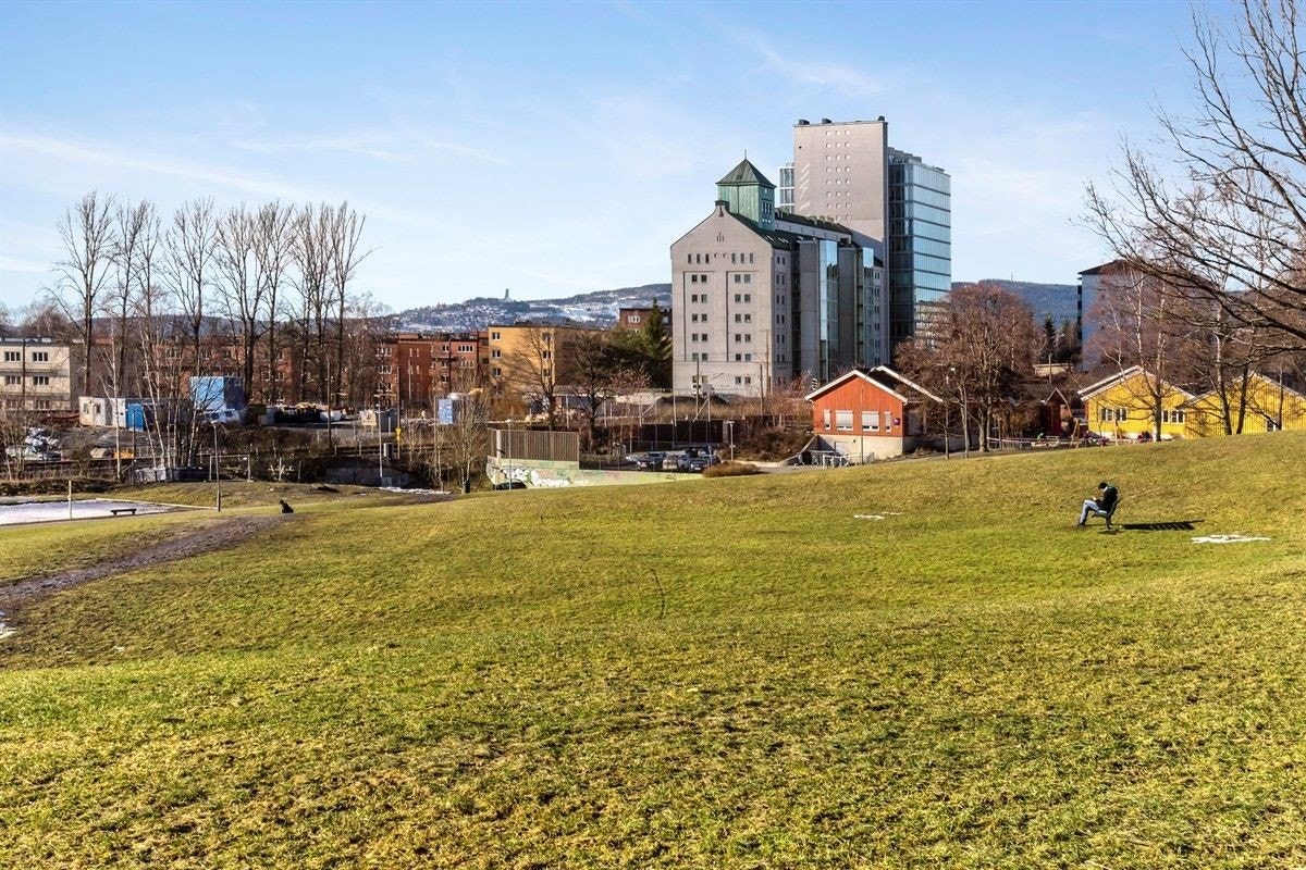 Mange grøntområder i nærområdet Galleribilde