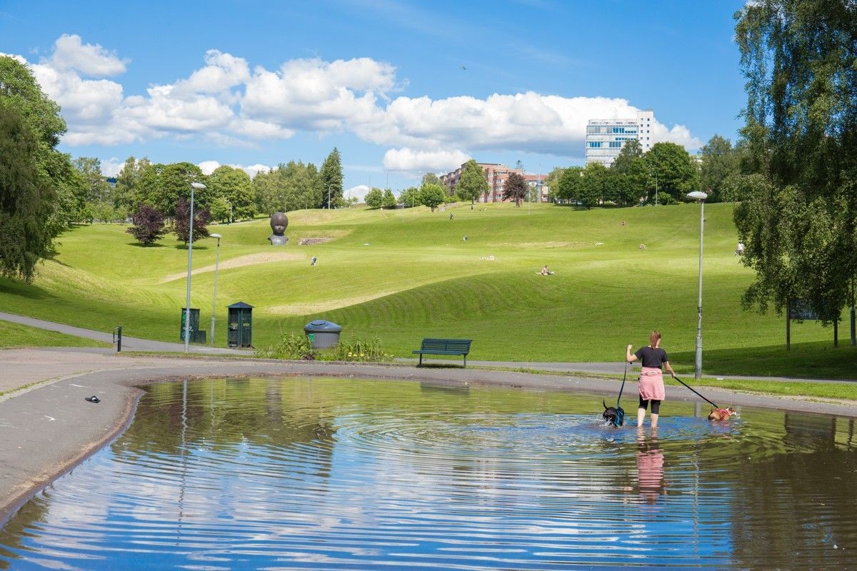 Torshovddalen er nærmeste nabo Galleribilde