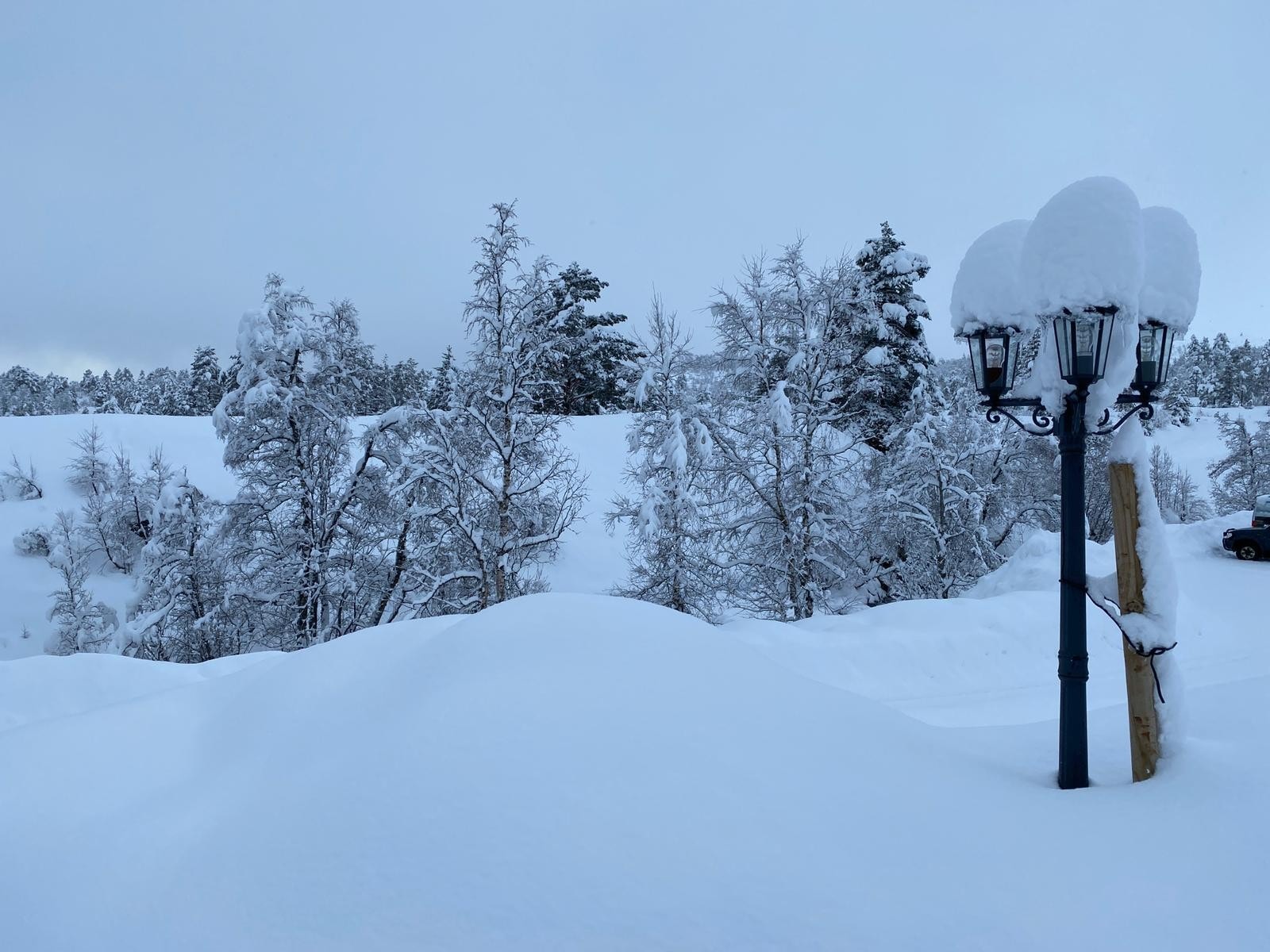 12.02.2020 Galleribilde