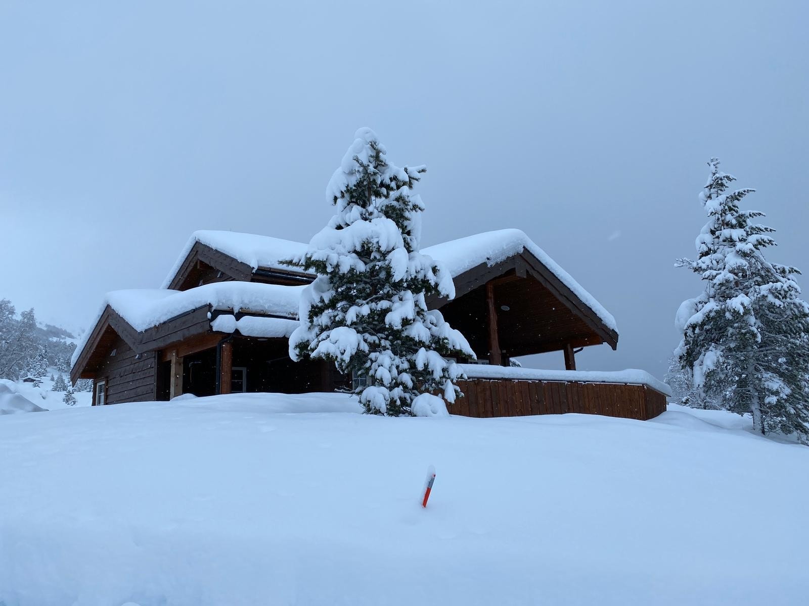 Status 12.02.2020 Galleribilde