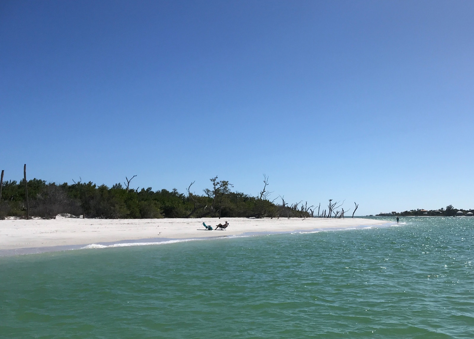 Bilde fra stranden på Cayo Costa. Må leie båt eller være med sightseeingbåt for å komme til denne superfine stranden. Galleribilde