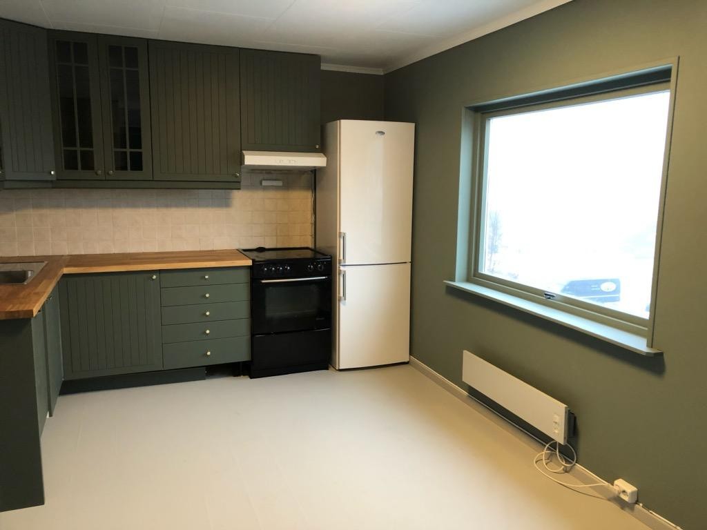 Hvitevarer følger med ved utleie. Galleribilde