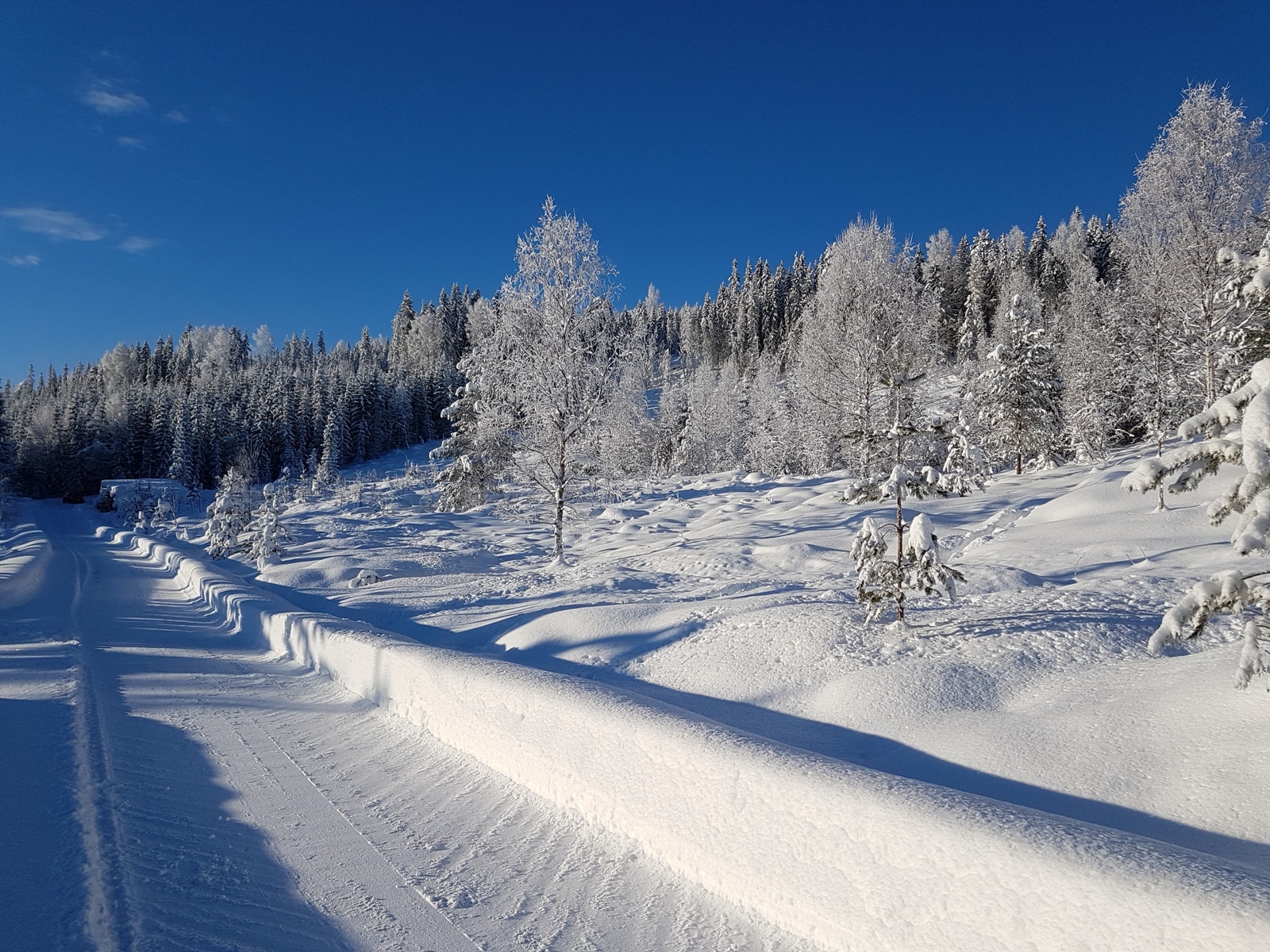 Tomteområdet klart for bygging, med nybrøytet vei helt frem og skogen i bakkant. Galleribilde