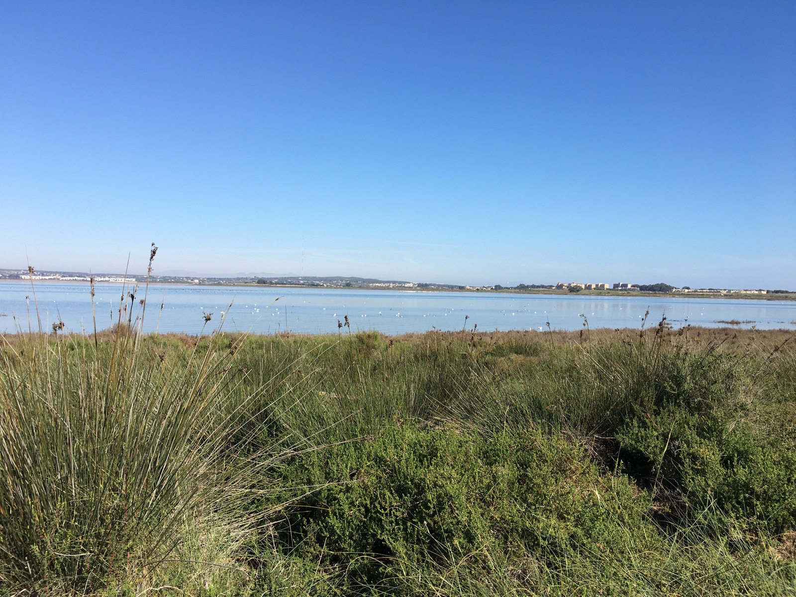 La Mata lagunen (Saltsjøen) Galleribilde