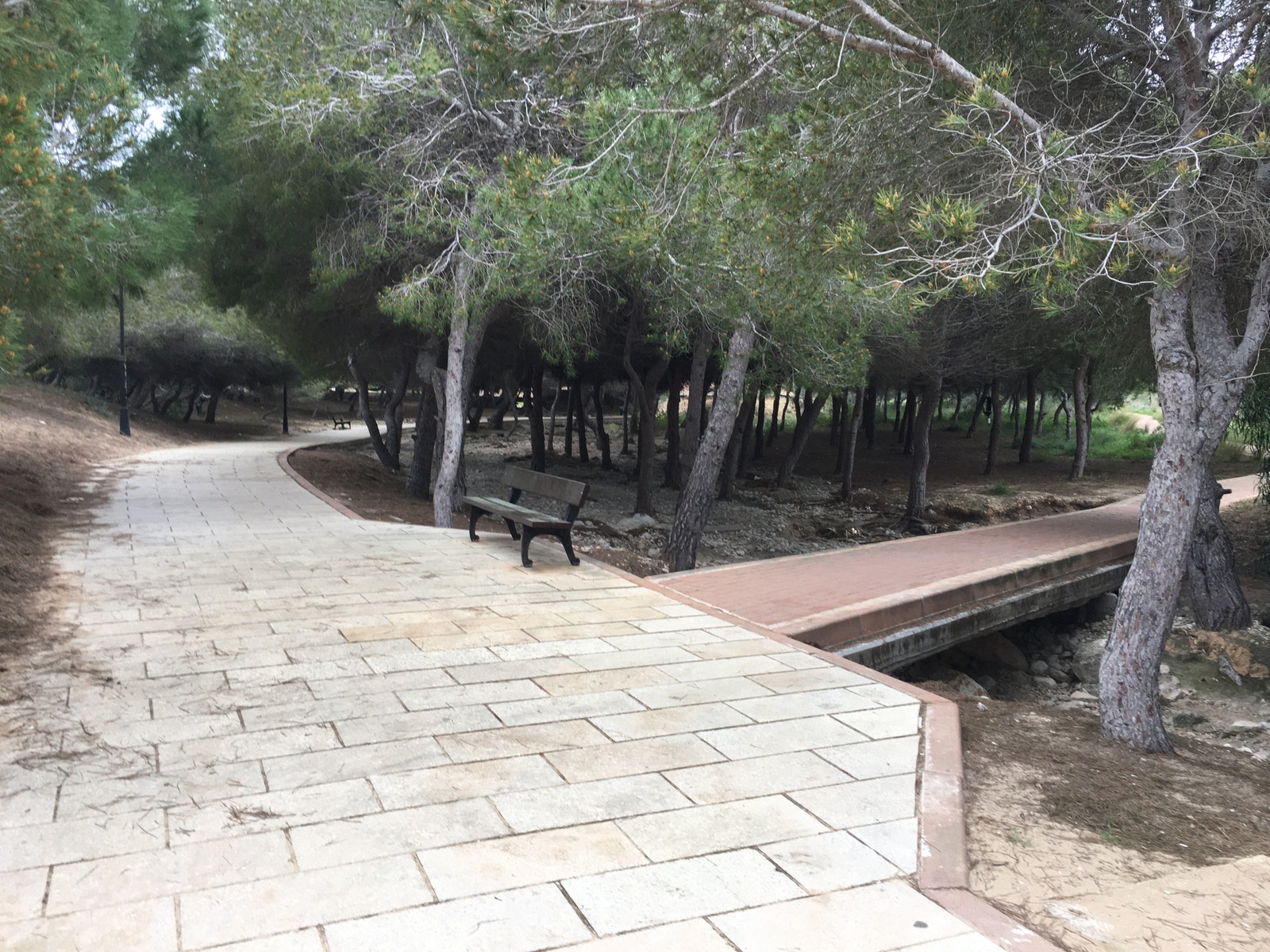 La Mata, parkområde Galleribilde