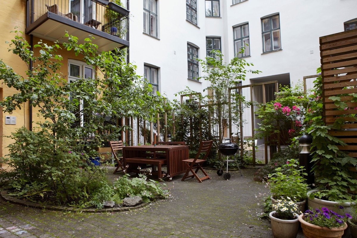 Blåbær, epletre, ramsløk og rips i bakgården for alle. Galleribilde