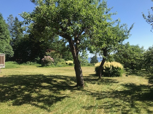 Hage foran huset Galleribilde