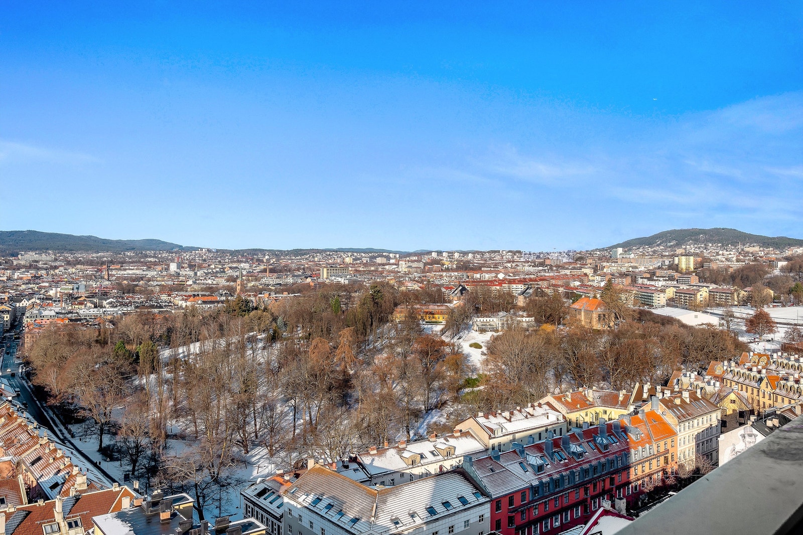 Utsikt mot Botanisk hage og Grefsenkollen. (fra balkongen) Galleribilde