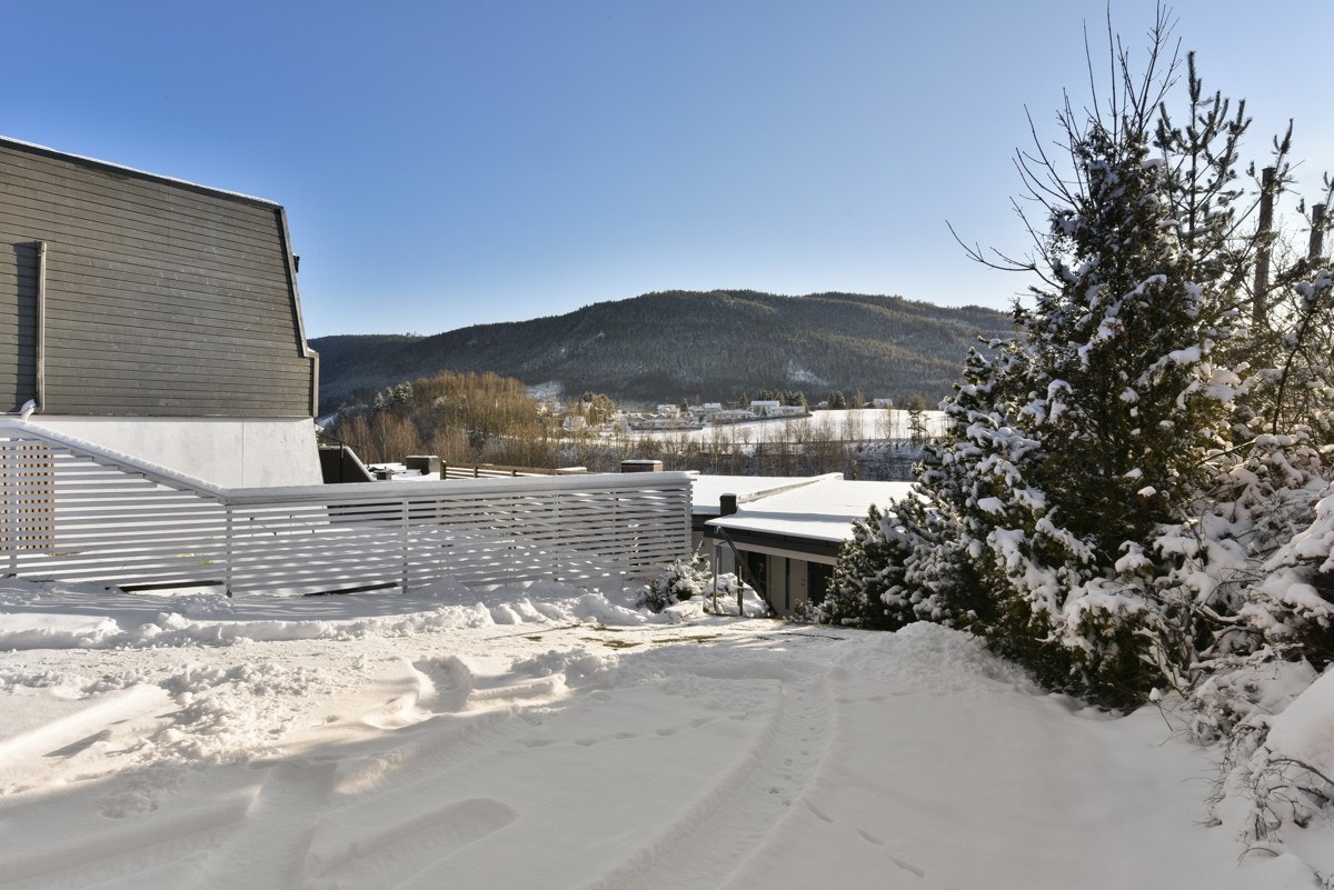 Felles parkering. Galleribilde