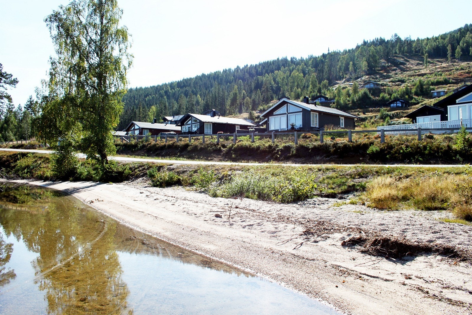 Badestranda på Nisser Hyttegrend. Galleribilde