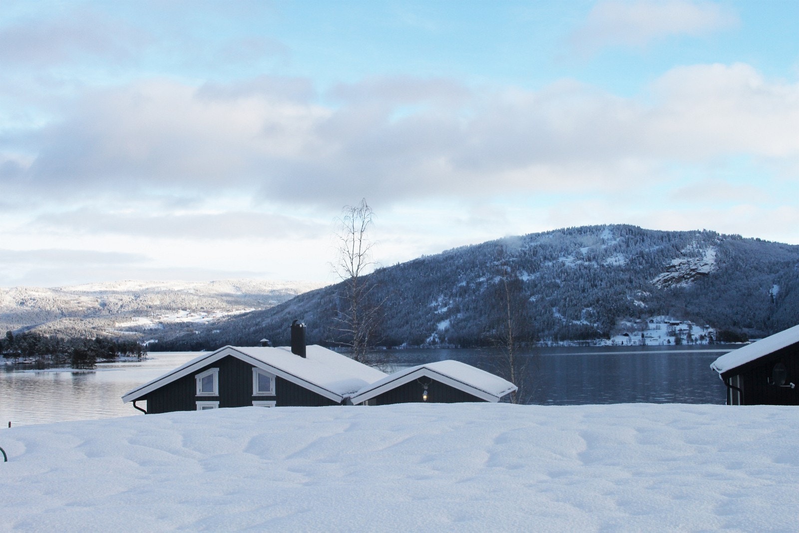 Vinter i hyttegrenda Galleribilde