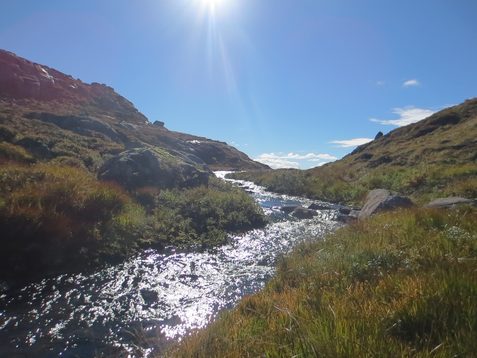Vakker natur Galleribilde