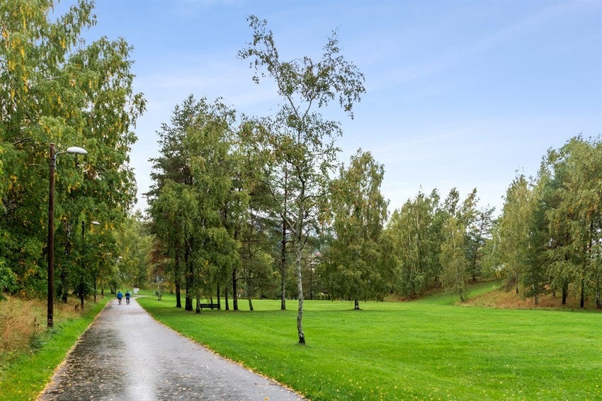Flotte turområder rett i nærheten. Galleribilde