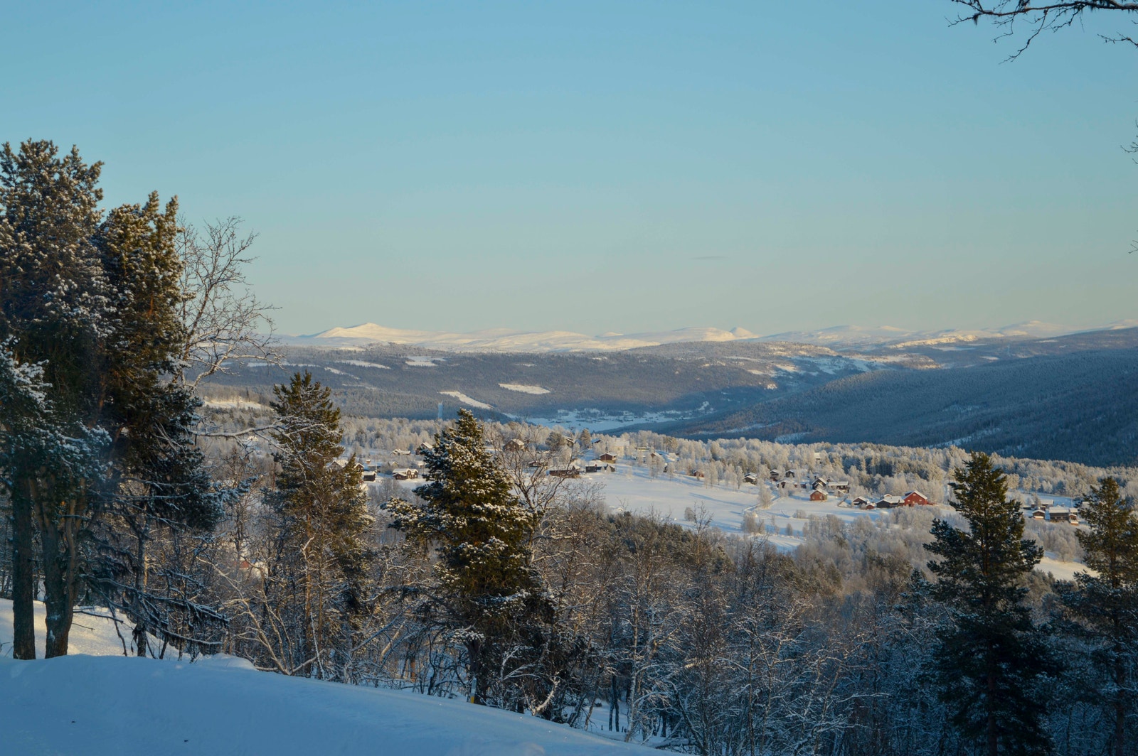 Fra tomteområdet. Galleribilde