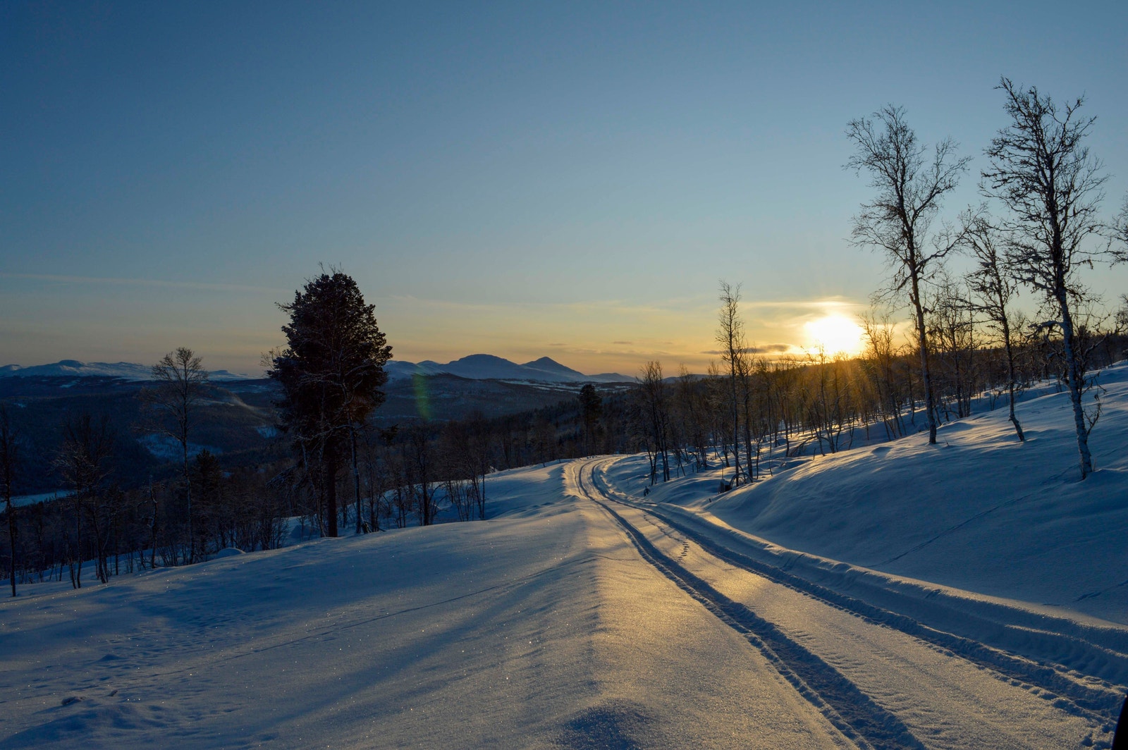 Fra tomteområdet. Galleribilde