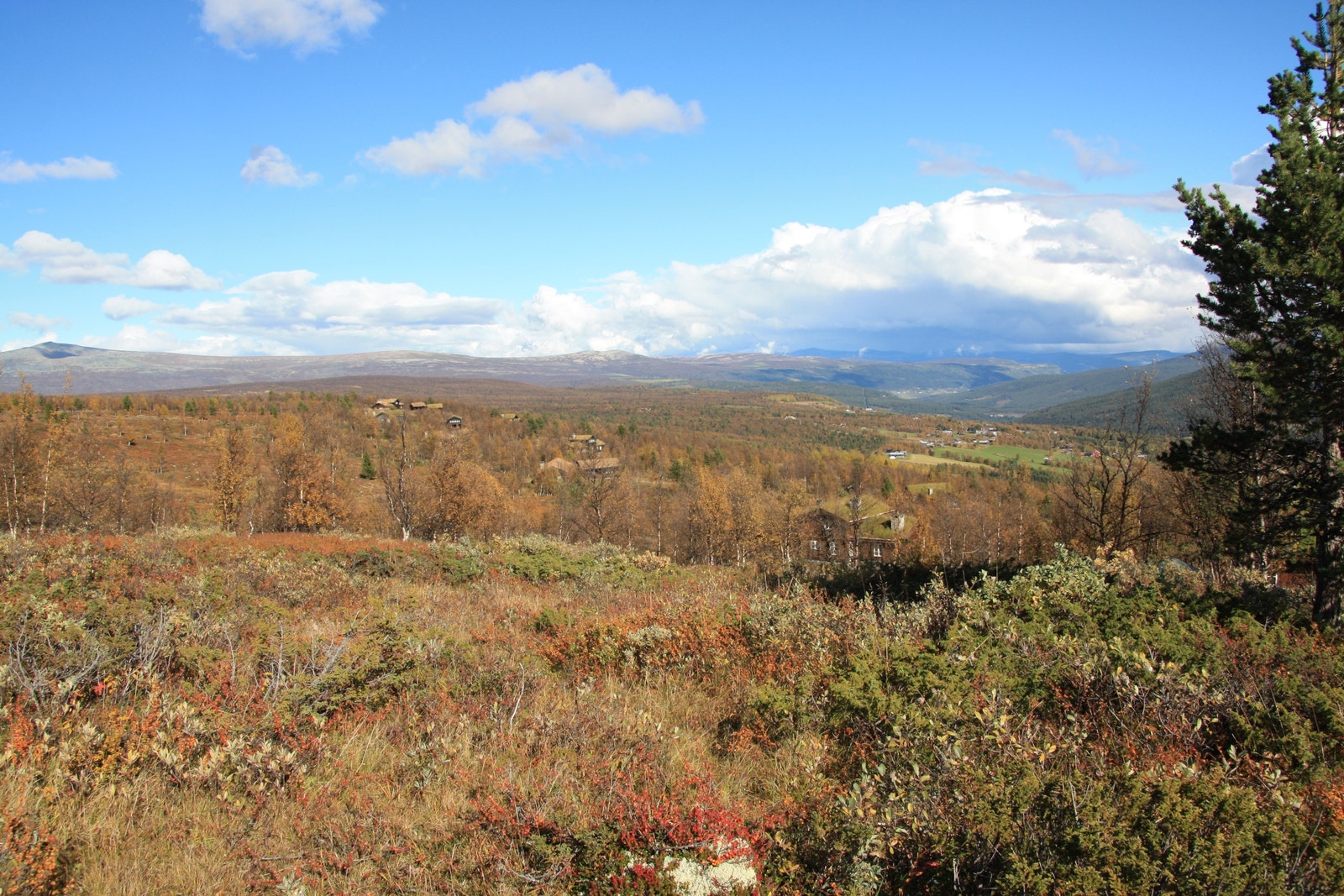 Fra Skardfjellgrenda mot Skåbu og Gudbrandsdalen. Galleribilde