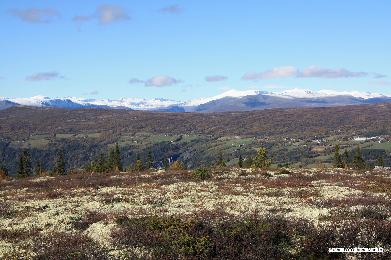 Skåbu med Jotunheimen i bakgrunn. Foto: Anne Mari Lo. Galleribilde