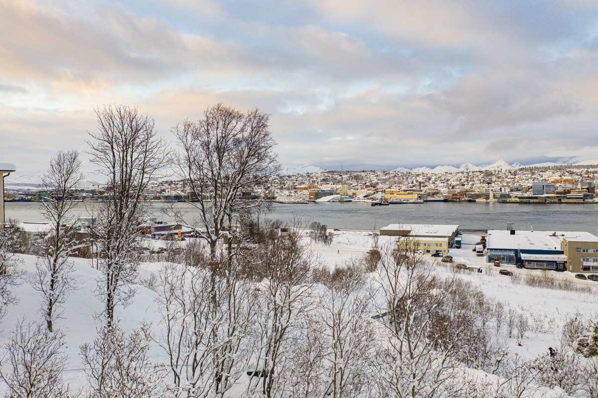 Utsikt fra tomten