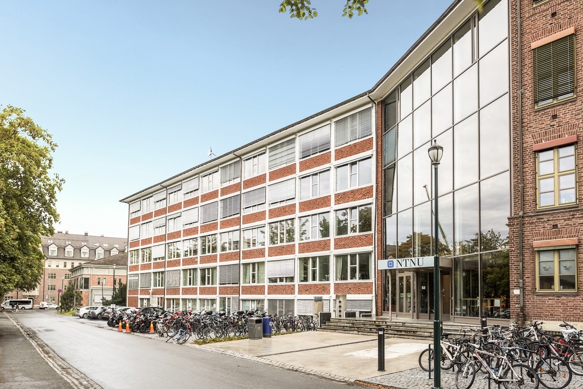 NTNU Kalvskinnet ligger også i nærheten med kun ca. 2 km unna leiligheten. Det er også kort vei til f.eks BI. Galleribilde