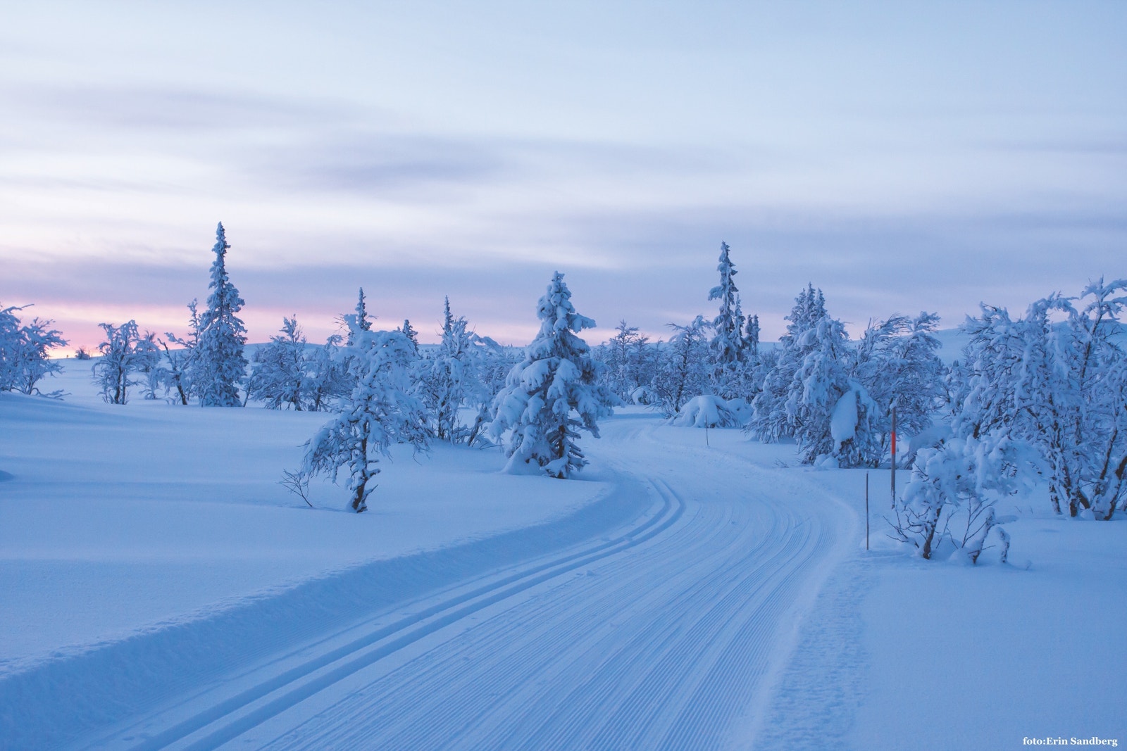 Mange flotte løyper i Rendalen! Stor takk til Rendalen løypelag!
foto: Erin Sandberg/www.turognatur.no Galleribilde