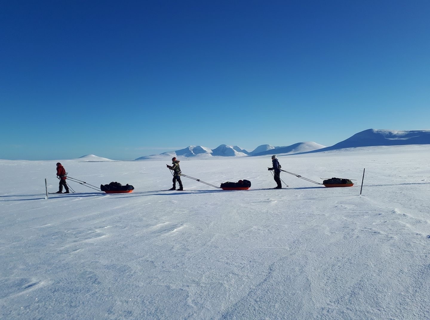 Drømmeforhold! foto: Toril Grøtting Galleribilde